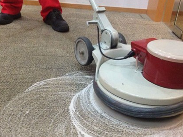 Carpet & sofa set shampooing